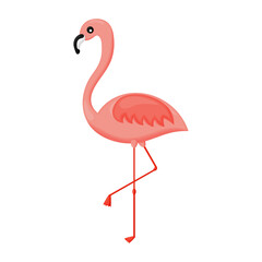 Cartoon flamingo icon.