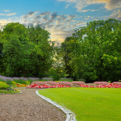 Lovely city garden with flower beds, lawns and paths.