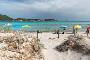 The wonderful sea of the Costa Smeralda and the typical vegetation of the beach in the foreground..Pevero beach, Sardinia, Italy