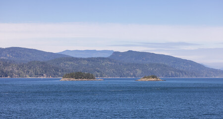Fototapeta premium Canadian Landscape by the ocean and mountains. Summer Season. Gulf Islands near Vancouver Island, British Columbia, Canada. Canadian Landscape.