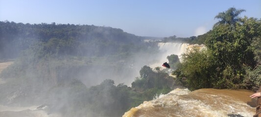 Waterfall in National Park Iguazu, Misiones, Argentina