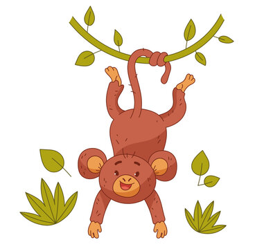 Cartoon doodle line style jungle monkey animal character concept. Vector graphic design illustration