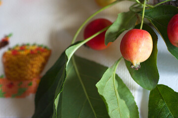 Selective focus of little apples on a branch. Ripe fruits with fresh leaves and embroidered basket with colorful apples. Needlework, stitching, feminine leisure, hobby concept