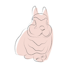 Cute rabbit, bunny, line art, one line art, color spots
