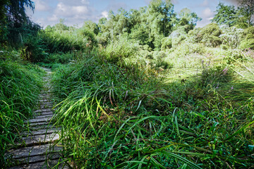nature bien etre merveille du monde