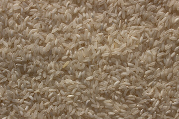 white rice, cereal. background with texture food