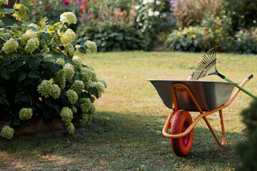 A garden wheelbarrow and a rake in the backyard of the house. The concept of housework, gardening and country life. Preparing the garden for autumn and winter. Closing of the summer season.