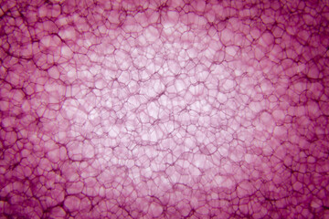 pink background. abstract wallpaper and texture background. Mystical background with place for text.