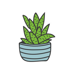 Cactus colorful doodle illustration in vector. Cactus colorful icon. Pot plant doodle illustration