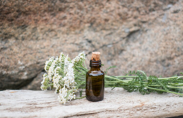 Small brown medicine bottle on natural background with white yarrow flowers. Essential oil. 