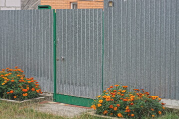 one gray closed metal door on an iron rural wall fence in green vegetation and flowers on the street