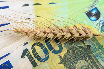 Wheat crisis, lack of grain and harvest. Wheat grains on the background of euro banknotes. The...