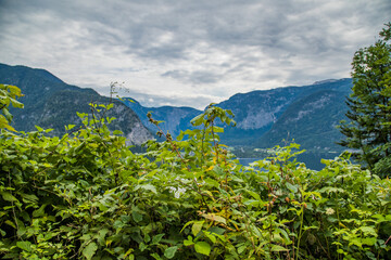 Blick auf die Berge im Salzkammergut