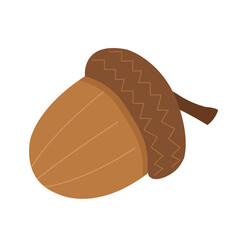 Acorn illustration with oak leaves and branches. Isolated vector nut from oak.