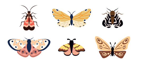 Obraz premium Set of colorful butterflies and moths in cartoon style. Set of tropical flying insects with colorful wings. Vector illustration of real flying insects on white background.