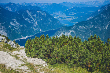 Obraz premium Fernblick vom Krippenstein auf den Hallstätter See