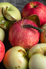 Not perfect but natural red and green apples just from apple tree on dark background
