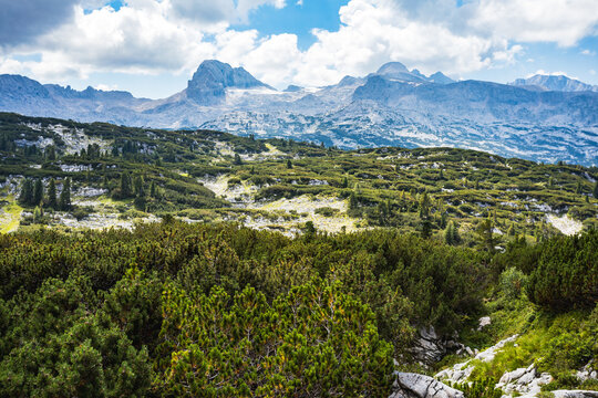 Wanderweg am Krippenstein mit Blick auf den Dachstein-Gletscher