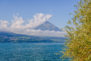 Thunersee, Niesen, Faulensee, Seeufer, Interlaken, Unterseen, Schifffahrt, Seerundfahrt,...