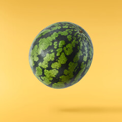 Fresh raw yellow watermelon falling in the air