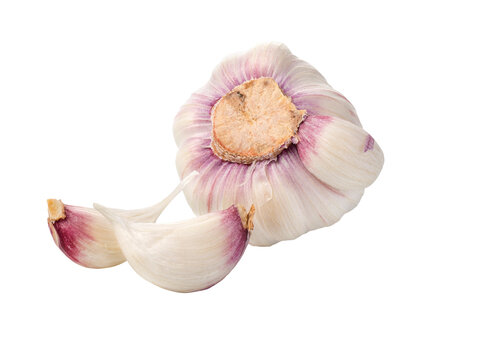garlig isolated on transparent background,