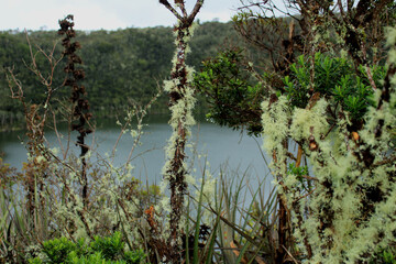 Laguna de Guatavita, sitio sagrado de los Ind&iacute;genas Muiscas en Colombia