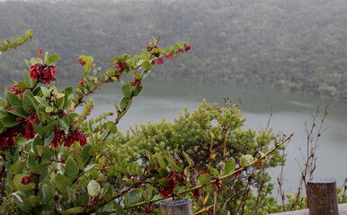 Laguna de Guatavita, sitio sagrado de los Ind&iacute;genas Muiscas en Colombia