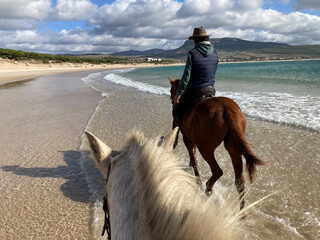 Riding horses on a sand beach