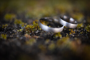 Wedding rings on the stone