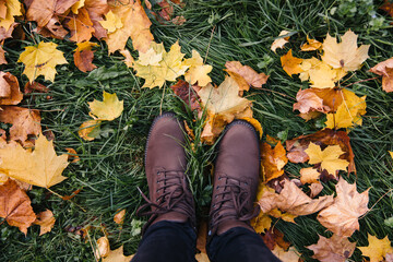 Colorful background of fallen leaves on green grass. Legs in brown boots on the autumn fallen yelllow and orange leaves on the ground in the forest. Seasonal scenic beautiful background.