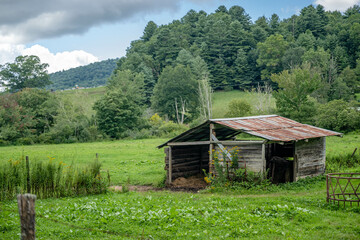 Obraz premium creative