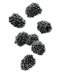 Falling Blackberry isolated on white background, clipping path, full depth of field