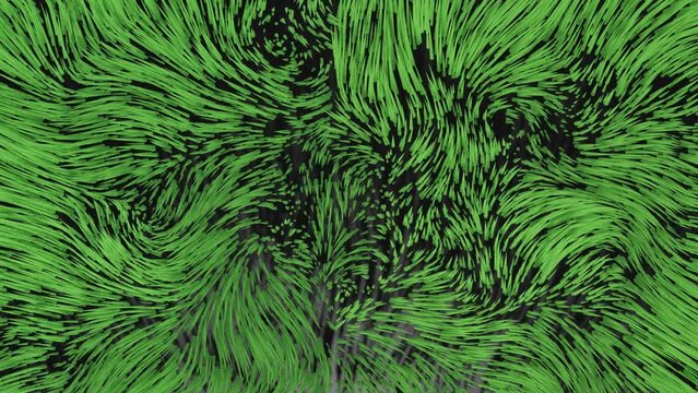 Abstract visualization of green waving grass particles motion background, curl, swirl, marine plants, flagellum, growth, simple animation, 3d rendered, computer generated