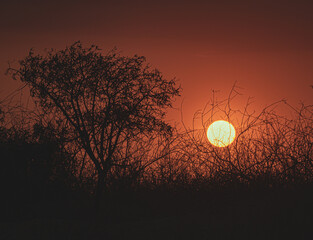 atardecer con sombras y siluetas 