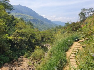 Beautiful scenery in the rainforest, Sri Lanka, Asia