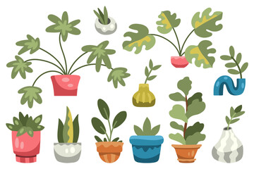 Set of various housplants in pots and vases. Monstera, ficus lyrata and other trendy plants. Flat cartoon hand-drawn style, isolated on white background