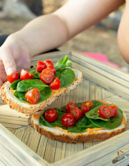 bread, hummus, tomato, tomatoes, spinach, healthy, meal, hands, woman, fresh, delicious, appetizer, vegetarian, health, nutrition