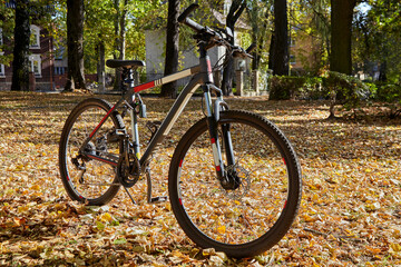 Fototapeta na wymiar Mountain bike in excellent condition in autumn park