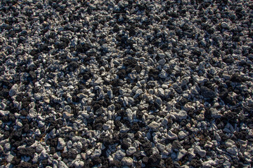 Morning on a rocky beach in the Pacific
