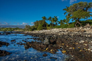 Obraz na płótnie Canvas Sunset on a shoreline in Hawaii