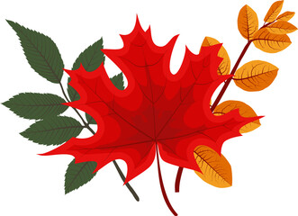 Autumn Falling Leaves