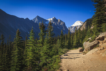 mirror lake trail 