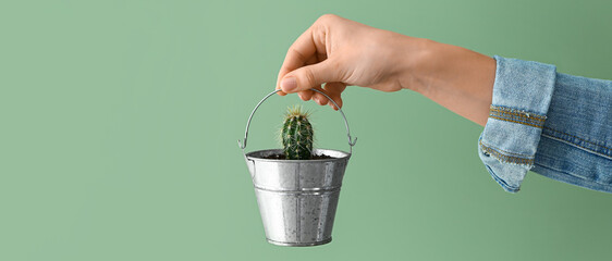 Female hand holding small bucket with cactus on green background © Pixel-Shot