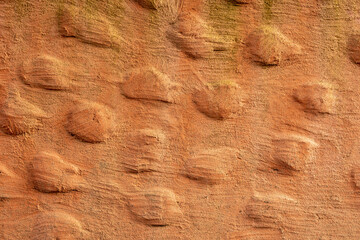 Abstract stone texture painted with warm orange color. Background for design purpose.