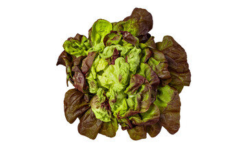 Green and purple lettuce salad head isolated transparent png