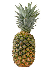 Fototapeta premium Ripe pineapple fruit isolated transparent png.