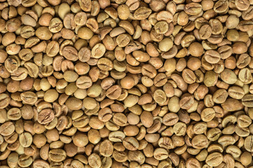 Pile of green robusta coffee beans background or texture.