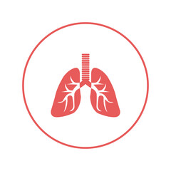 Human organ kidney anatomy icon | Circle version icon |
