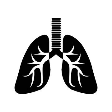 Human organ kidney anatomy icon | Black Vector illustration |