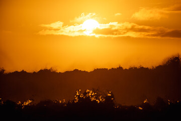 paisaje de ocaso en la playa con silueta del sol sobre el mar con olas reventando en la orilla con cielo anaranjado